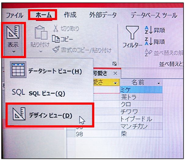 アクセス列の入れ替え方法初心者詳細手順