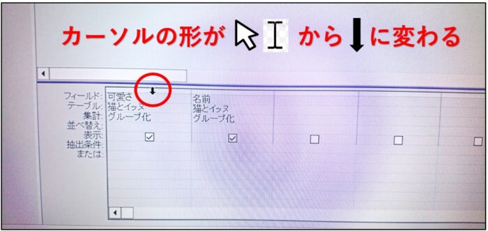 アクセス列の入れ替え方法初心者詳細手順