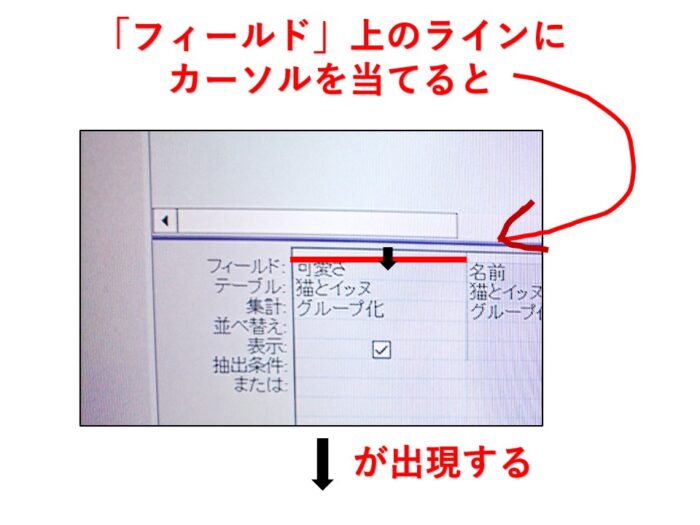 アクセス列の入れ替え方法初心者詳細手順