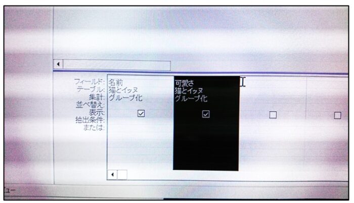 アクセス列の入れ替え方法初心者詳細手順