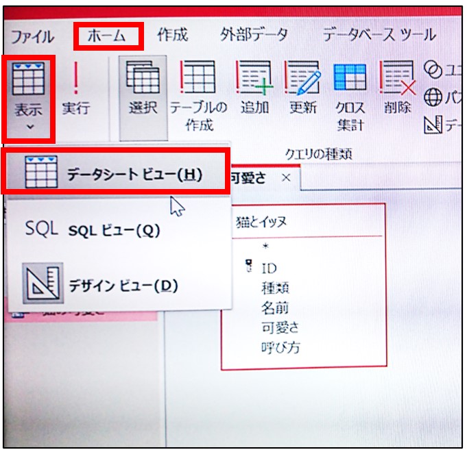 アクセス列の入れ替え方法初心者詳細手順