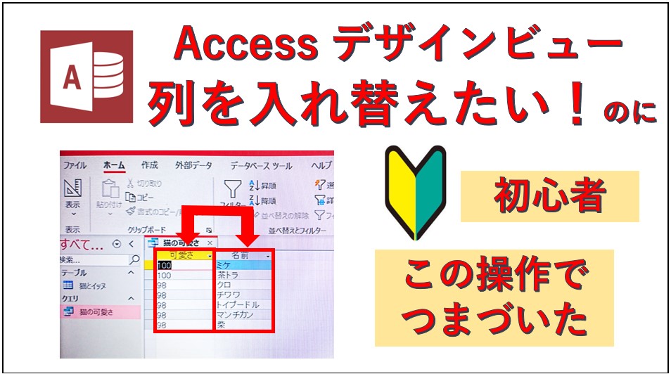 アクセス列の入れ替え方法初心者詳細手順