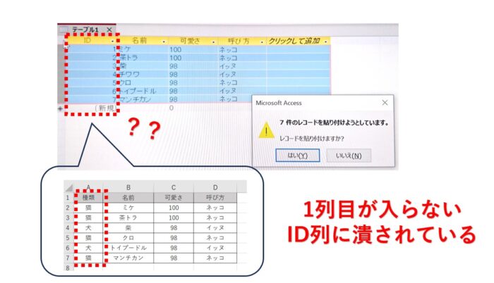 Access1列目（ID列）にExcel貼り付けできない