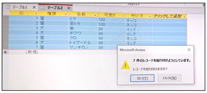 Access1列目（ID列）にExcel貼り付けできない