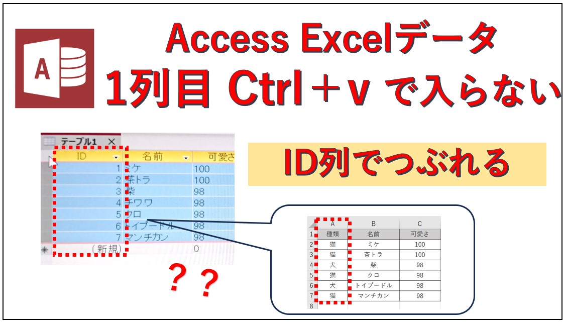 Access1列目（ID列）にExcel貼り付けできない